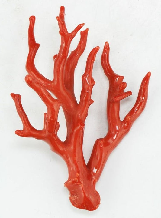 🪸 Types of Coral Stone – A Complete Guide for the USA by Shrisha Jewels